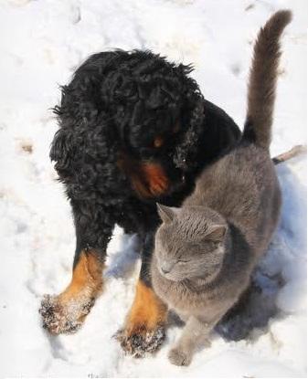 Zmiana godzin pracy gabinetu 